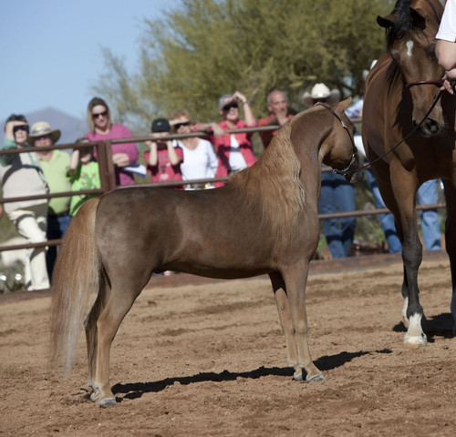 Farm Tour Day 4 - Stonewall / Guzzo / North / Midwest