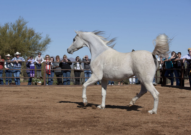 Farm Tour Day 4 - Stonewall / Guzzo / North / Midwest