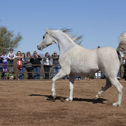 Farm Tour Day 4 - Stonewall / Guzzo / North / Midwest