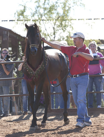 Selket Marque at Stonewall Farm
