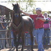 Selket Marque at Stonewall Farm
