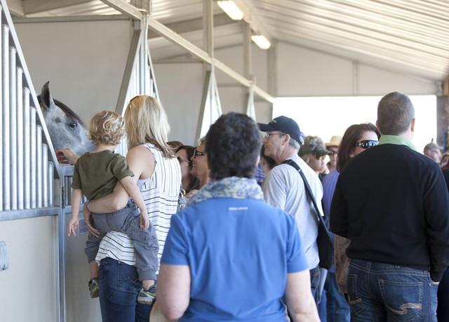 Farm Tour Day 4 - Stonewall / Guzzo / North / Midwest