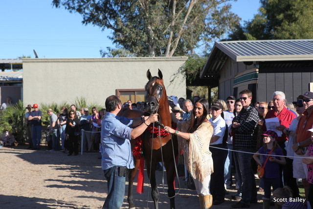 Lucianna Fasano and her stallion AAS-ELISHAHH