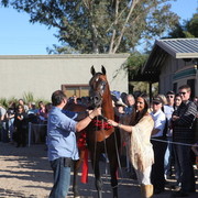 Lucianna Fasano and her stallion AAS-ELISHAHH