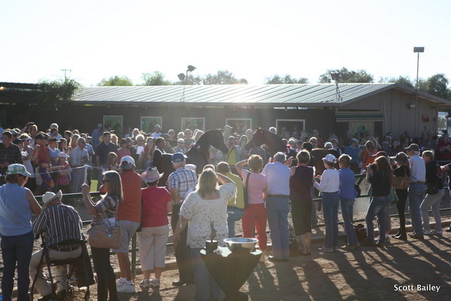 Farm Tour Day 4 - Stonewall / Guzzo / North / Midwest