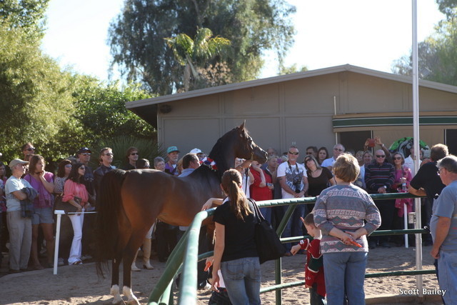 Da Vinci FM at Guzzo / Rivero Open  House