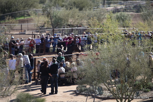 Stonewall Farm Open Day