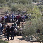 Stonewall Farm Open Day