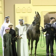 Ajman Show 2012 Day 1