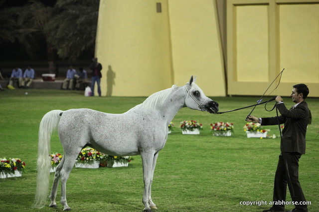 Ajman Show 2012 Day 1