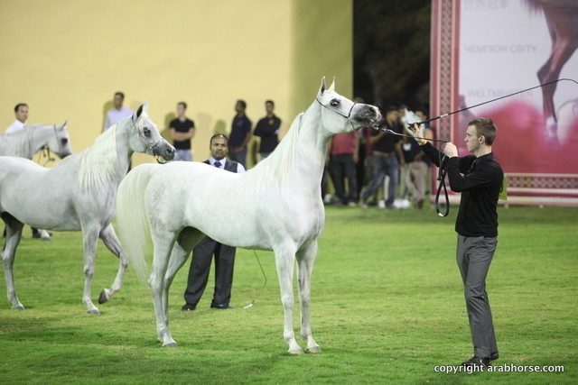 El Sanadiha IA by Sanadik El Shaklan