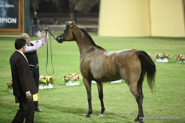 Ajman Show 2012 Day 1