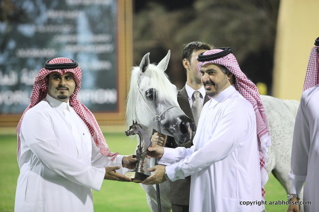 Ajman Show 2012 Day 1