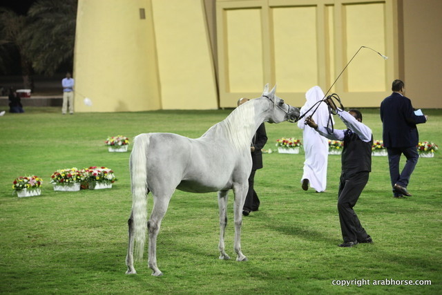 Ajman Show 2012 Day 1