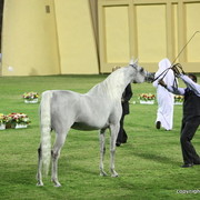 Ajman Show 2012 Day 1