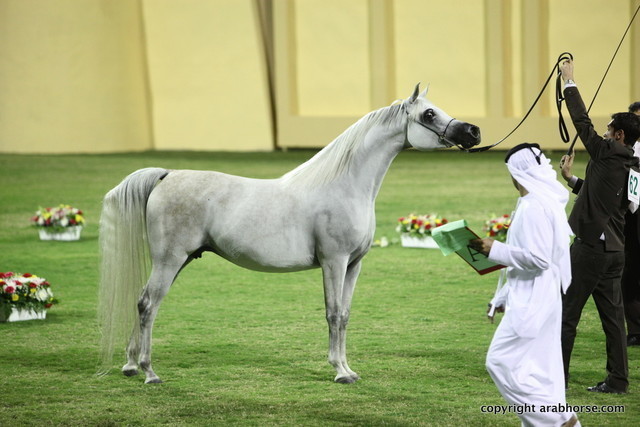 Ajman Show 2012 Day 1