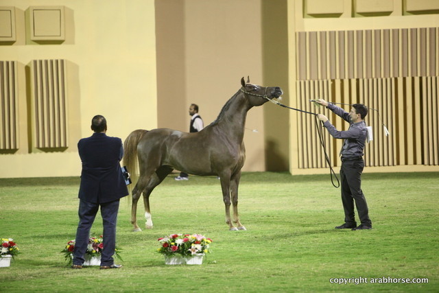Ajman Show 2012 Day 1