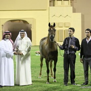 Ajman Show 2012 Day 1