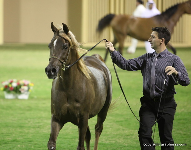 Ajman Show 2012 Day 1
