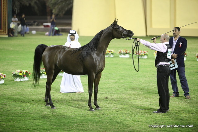 Ajman Show 2012 Day 1