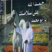 Ajman Show 2012 Day 1