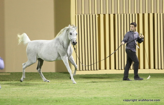 Ajman Show 2012 Day 1