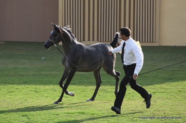 Ajman Show 2012 Day 1