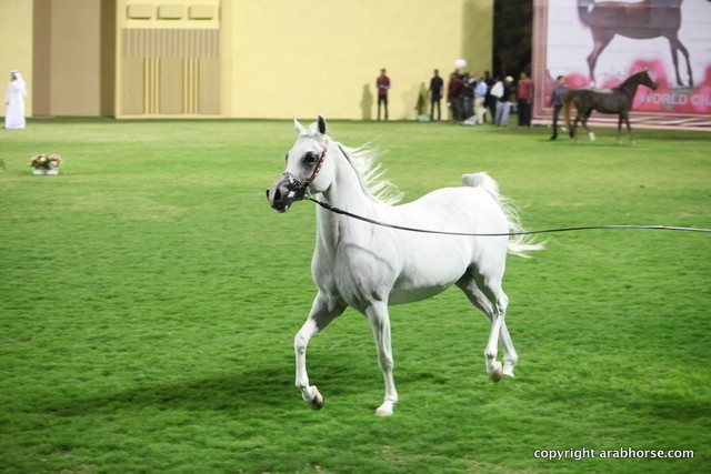Ajman Show 2012 Day 1