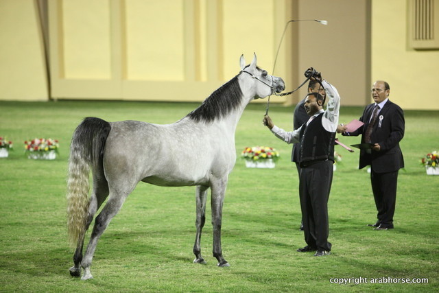 Ajman Show 2012 Day 1