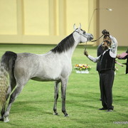 Ajman Show 2012 Day 1