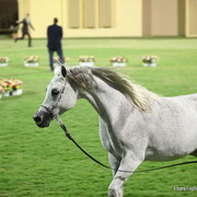 Ajman Show 2012 Day 1