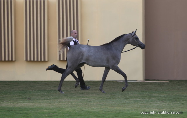 Al Aryam Inayah by Al Bilal