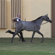 Al Aryam Inayah by Al Bilal