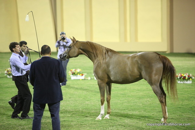 Ajman Show 2012 Day 1