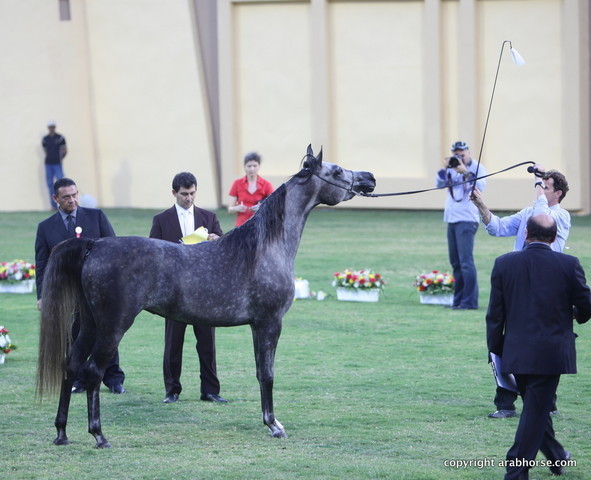 Ajman Show 2012 Day 1