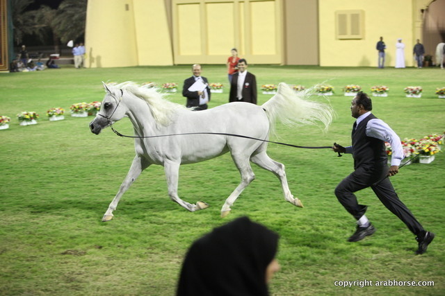 Ajman Show 2012 Day 1