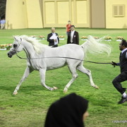 Ajman Show 2012 Day 1