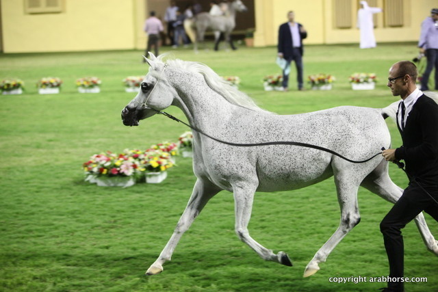 Thoraya AL Zobair by Ansata Selman