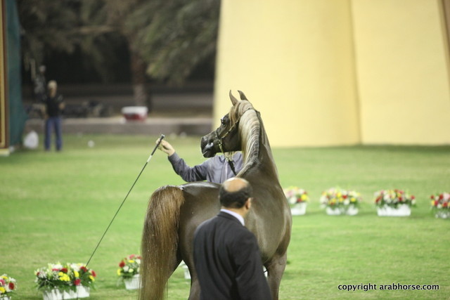Ajman Show 2012 Day 1