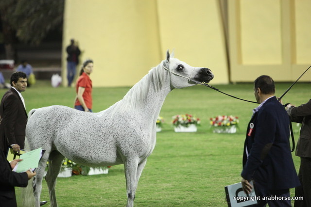 Ajman Show 2012 Day 1