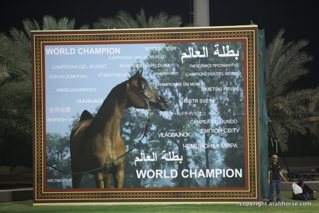 Ajman Show 2012 Day 1