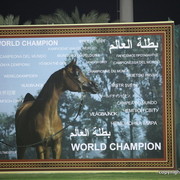 Ajman Show 2012 Day 1