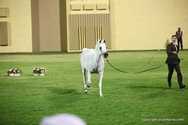 Ajman Show 2012 Day 1