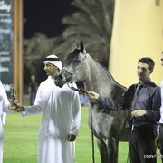 Ajman Show 2012 Day 1