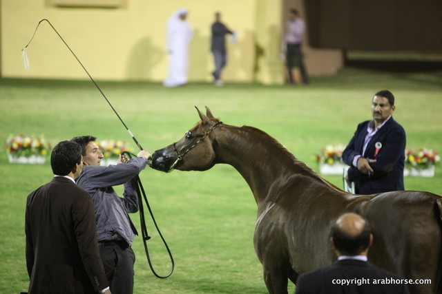 Ajman Show 2012 Day 1