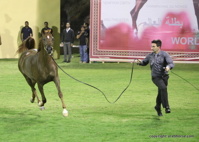 D Jowan by Marwan Al Shaqab
