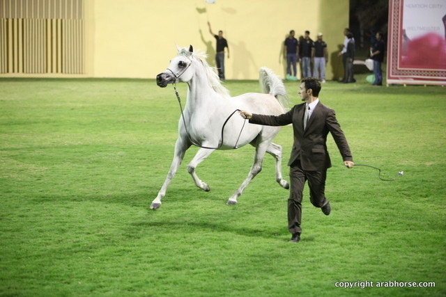 Salwa AL Zobair by Marajj