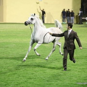 Salwa AL Zobair by Marajj