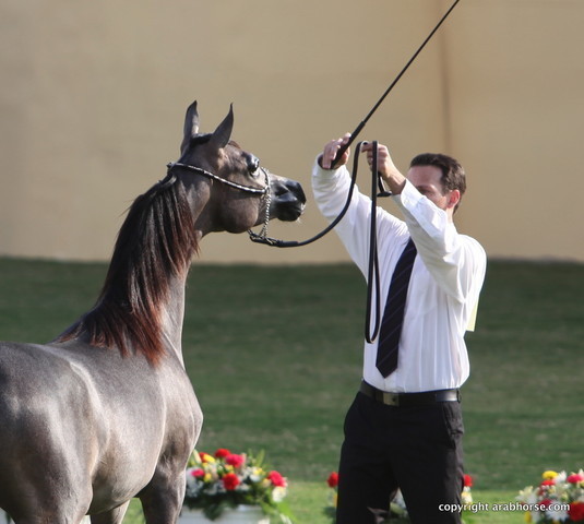 Salwa Al Bidayer by Marwan Al Shaqab