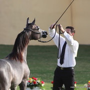 Salwa Al Bidayer by Marwan Al Shaqab